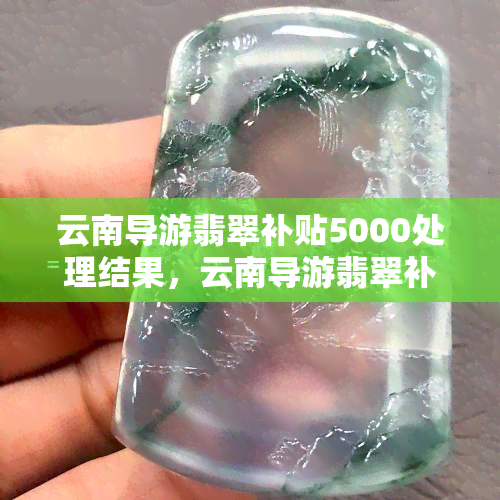 云南导游翡翠补贴5000处理结果，云南导游翡翠补贴5000：相关已介入调查并公布处理结果