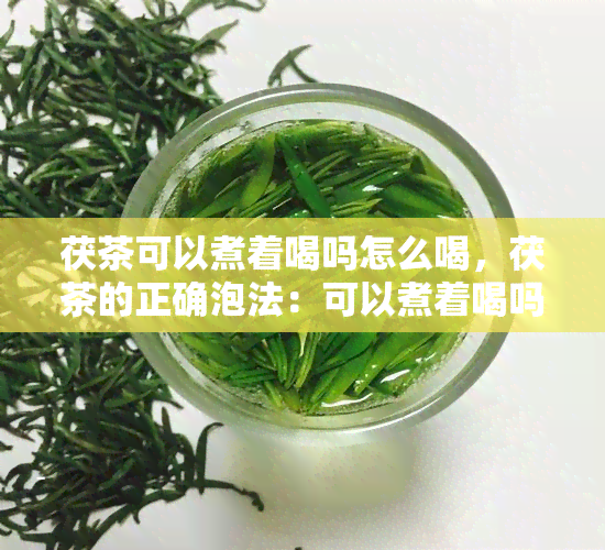 茯茶可以煮着喝吗怎么喝，茯茶的正确泡法：可以煮着喝吗？如何冲泡口感？