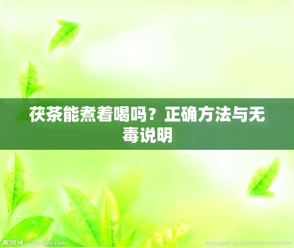 茯茶能煮着喝吗？正确方法与无说明