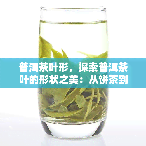 普洱茶叶形，探索普洱茶叶的形状之美：从饼茶到散茶的各种形态