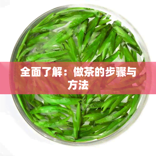 全面了解：做茶的步骤与方法