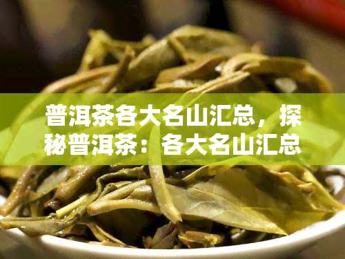 普洱茶各大名山汇总，探秘普洱茶：各大名山汇总与特色介绍