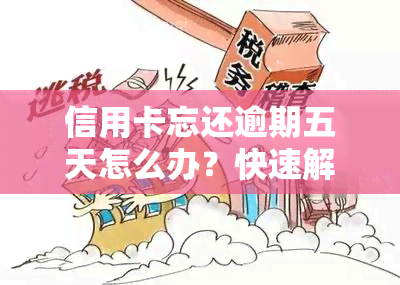 信用卡忘还逾期五天怎么办？快速解决方法