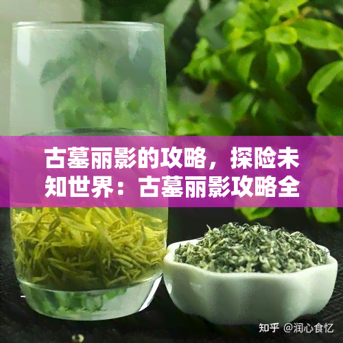 古墓丽影的攻略，探险未知世界：古墓丽影攻略全解