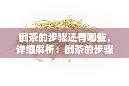 倒茶的步骤还有哪些，详细解析：倒茶的步骤及注意事