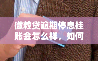 微粒贷逾期停息挂账会怎么样，如何处理微粒贷逾期：停息挂账的利与弊