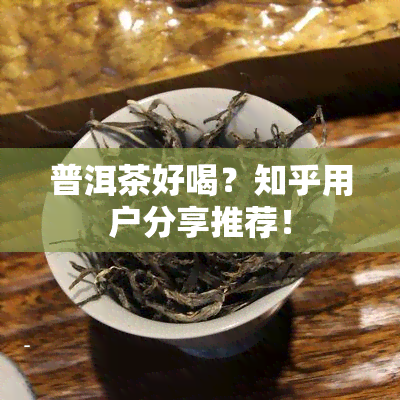 普洱茶好喝？知乎用户分享推荐！