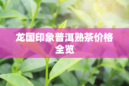 龙国印象普洱熟茶价格全览