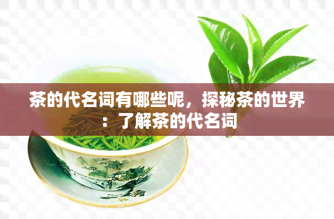 茶的代名词有哪些呢，探秘茶的世界：了解茶的代名词