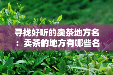 寻找好听的卖茶地方名：卖茶的地方有哪些名字？