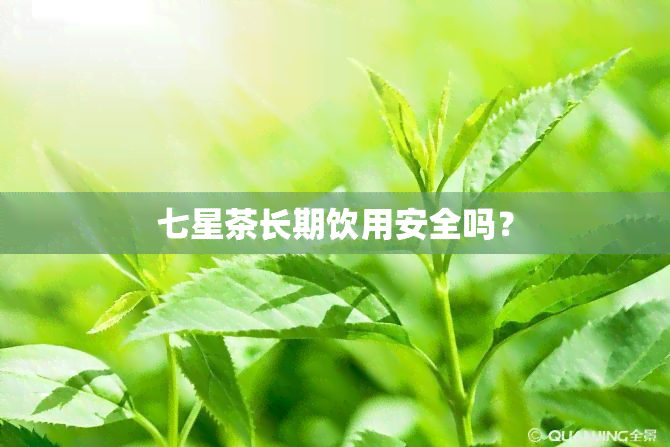 七星茶长期饮用安全吗？