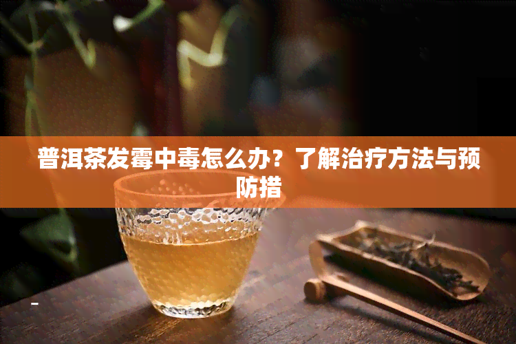 普洱茶发霉中怎么办？了解治疗方法与预防措