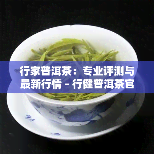 行家普洱茶：专业评测与最新行情 - 行健普洱茶官方网站