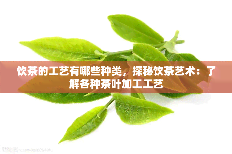 饮茶的工艺有哪些种类，探秘饮茶艺术：了解各种茶叶加工工艺