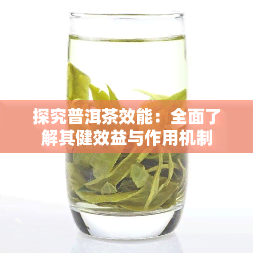 探究普洱茶效能：全面了解其健效益与作用机制