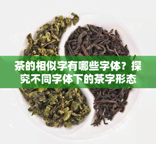 茶的相似字有哪些字体？探究不同字体下的茶字形态与演变