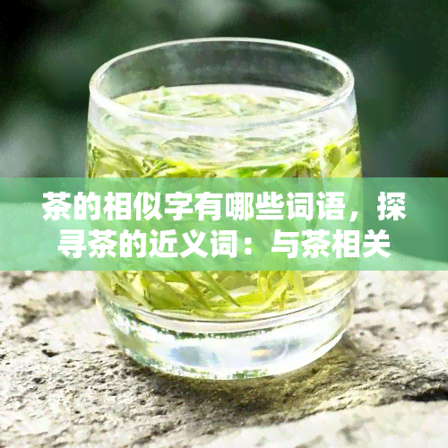 茶的相似字有哪些词语，探寻茶的近义词：与茶相关的其他词汇