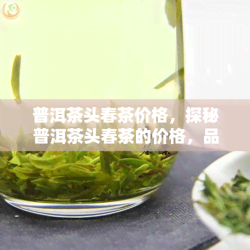 普洱茶头春茶价格，探秘普洱茶头春茶的价格，品味高品质生活的价值