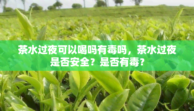 茶水过夜可以喝吗有吗，茶水过夜是否安全？是否有？