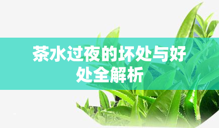 茶水过夜的坏处与好处全解析