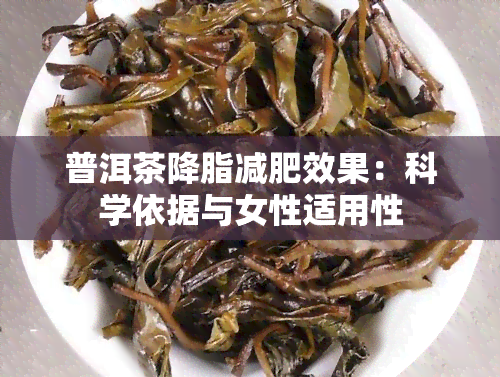 普洱茶降脂减肥效果：科学依据与女性适用性