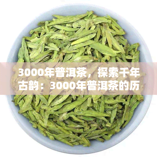 3000年普洱茶，探索千年古韵：3000年普洱茶的历与文化