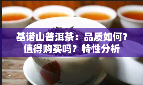 基诺山普洱茶：品质如何？值得购买吗？特性分析