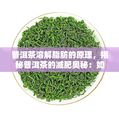 普洱茶溶解脂肪的原理，揭秘普洱茶的减肥奥秘：如何通过溶解脂肪实现健瘦身？