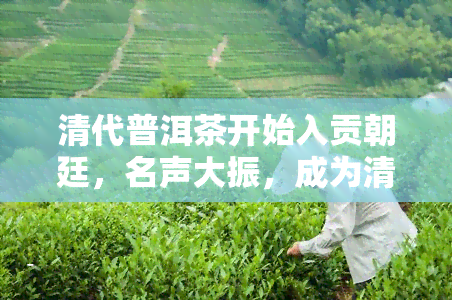 清代普洱茶开始入贡朝廷，名声大振，成为清朝普洱贡茶的主要产地