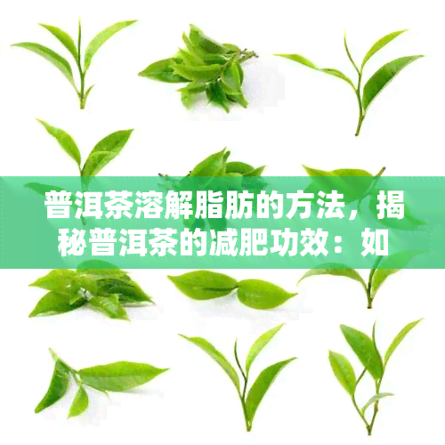 普洱茶溶解脂肪的方法，揭秘普洱茶的减肥功效：如何通过溶解脂肪来实现健减重？