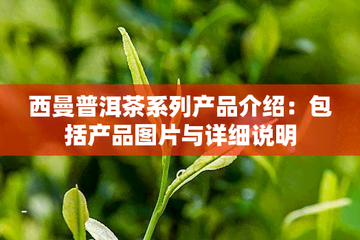 西曼普洱茶系列产品介绍：包括产品图片与详细说明