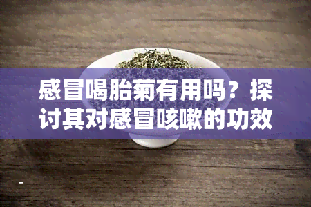 感冒喝胎菊有用吗？探讨其对感冒咳嗽的功效与作用