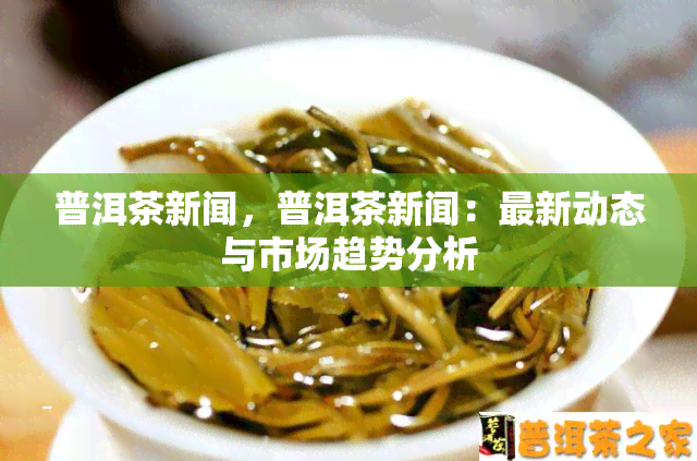 普洱茶新闻，普洱茶新闻：最新动态与市场趋势分析