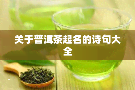 关于普洱茶起名的诗句大全