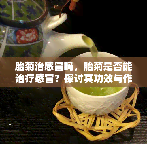 胎菊治感冒吗，胎菊是否能治疗感冒？探讨其功效与作用