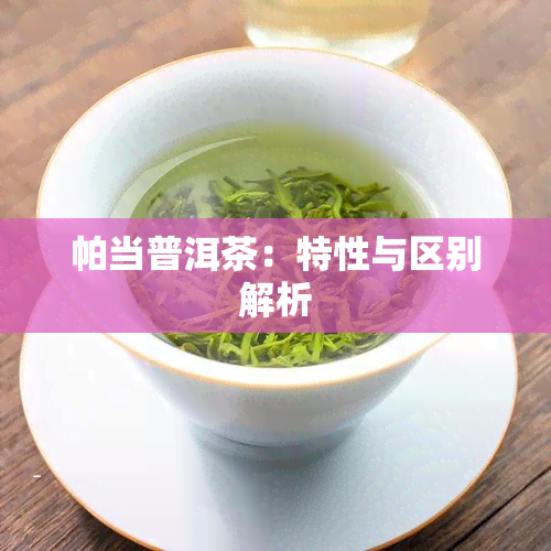 帕当普洱茶：特性与区别解析