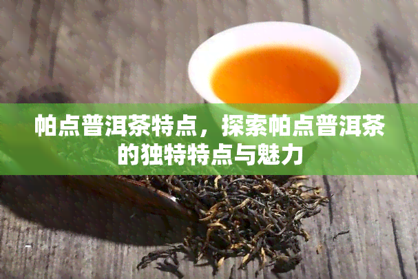 帕点普洱茶特点，探索帕点普洱茶的独特特点与魅力