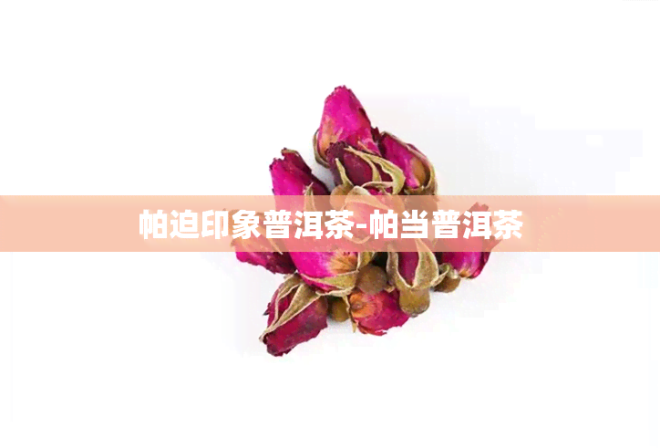 帕迫印象普洱茶-帕当普洱茶