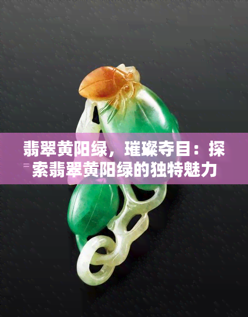 翡翠黄阳绿，璀璨夺目：探索翡翠黄阳绿的独特魅力