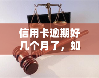 信用卡逾期好几个月了，如何协商还款本金？能否申请分期偿还？