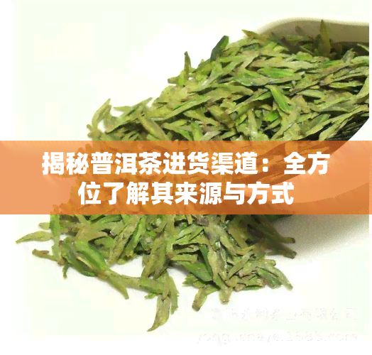 揭秘普洱茶进货渠道：全方位了解其来源与方式