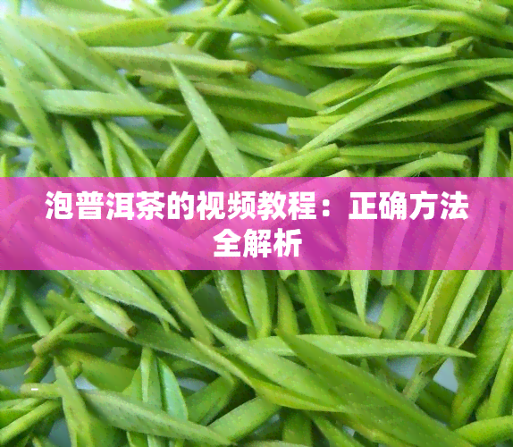 泡普洱茶的视频教程：正确方法全解析