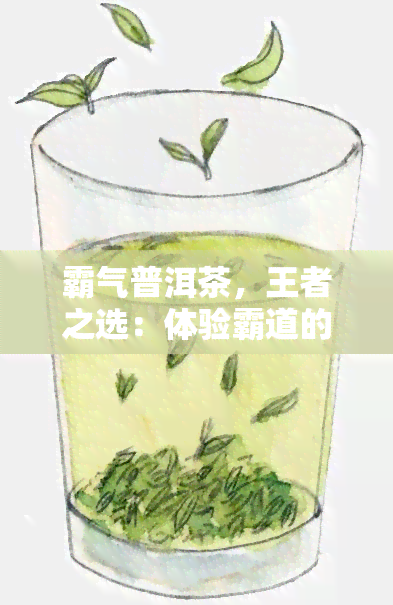 霸气普洱茶，王者之选：体验霸道的霸气普洱茶！