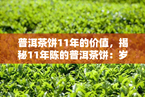 普洱茶饼11年的价值，揭秘11年陈的普洱茶饼：岁月沉淀出的价值与魅力