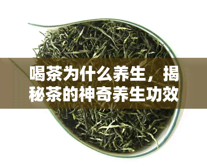 喝茶为什么养生，揭秘茶的神奇养生功效，为什么喝茶对身体有益？