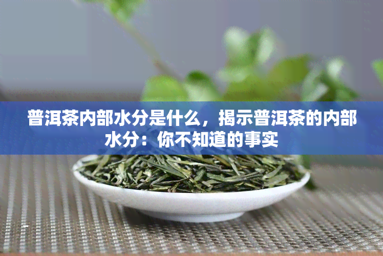 普洱茶内部水分是什么，揭示普洱茶的内部水分：你不知道的事实