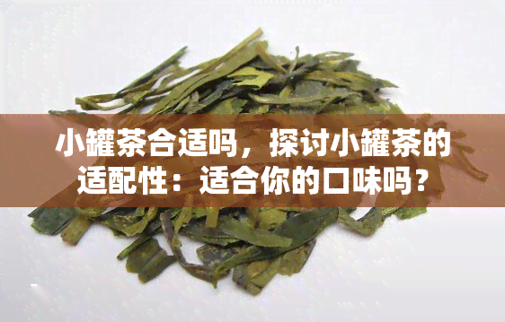 小罐茶合适吗，探讨小罐茶的适配性：适合你的口味吗？