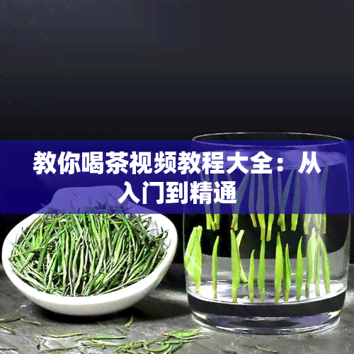 教你喝茶视频教程大全：从入门到精通