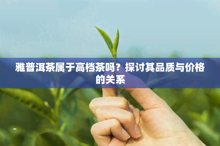 雅普洱茶属于高档茶吗？探讨其品质与价格的关系