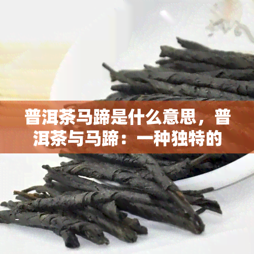 普洱茶马蹄是什么意思，普洱茶与马蹄：一种独特的组合，有何含义？